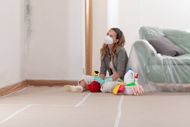 Reliable Mold Remediation contractor in Cypress, TX by WQB Mold Removal